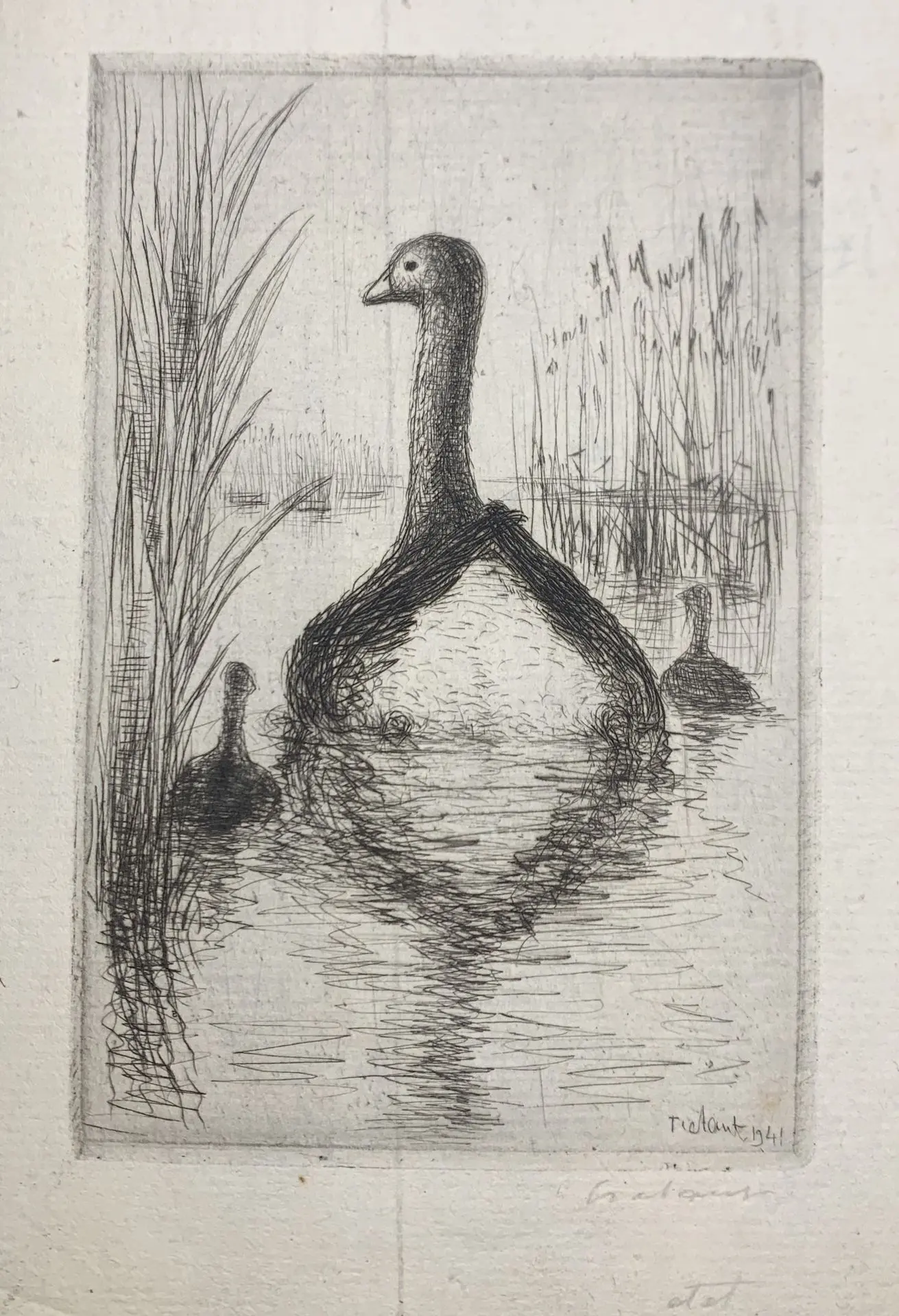 Gravure Frélaut La mère l'oie